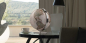 Preview: National Geographic Fusion 3703 Executive